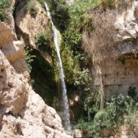 Foto de Ein Gedi