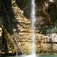 Foto de Ein Gedi
