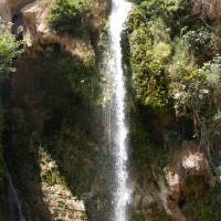Foto de Ein Gedi