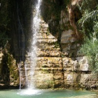 Foto de Ein Gedi