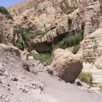 Foto de Ein Gedi