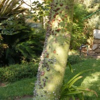 Foto de Ein Gedi