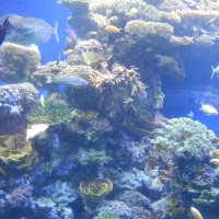 Foto de Eilat