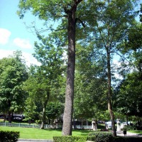 Foto de Oviedo