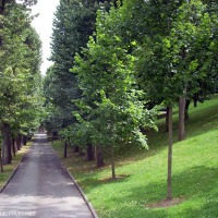 Foto de Oviedo