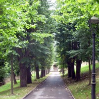 Foto de Oviedo