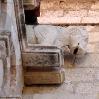 Foto de Zadar