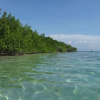 Foto de Morrocoy