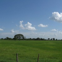 Foto de Barinas