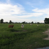 Foto de Barinas