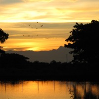 Foto de Barinas