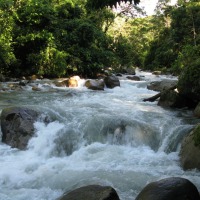 Foto de Barinas