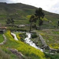 Foto de Apartaderos