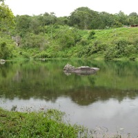 Foto de Barinas
