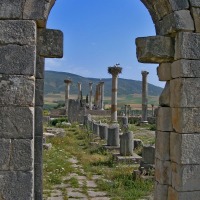 Foto de Volubilis