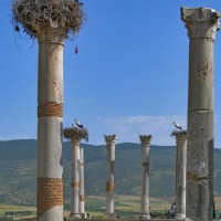 Foto de Volubilis