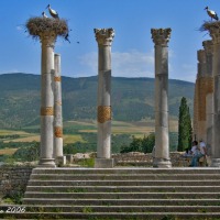 Foto de Volubilis