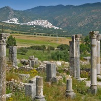 Foto de Volubilis