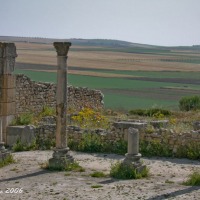 Foto de Volubilis