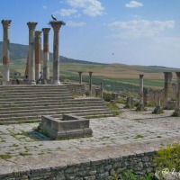 Foto de Volubilis