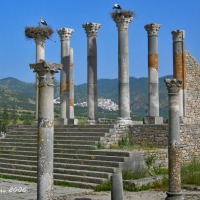 Foto de Volubilis