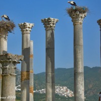 Foto de Volubilis
