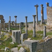 Foto de Volubilis