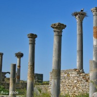 Foto de Volubilis