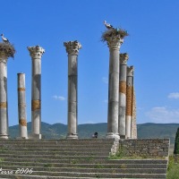 Foto de Volubilis