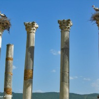 Foto de Volubilis