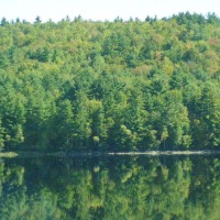 Foto de New Hampshire
