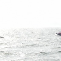 Foto de Tadoussac
