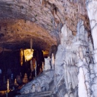 Foto de Postojna