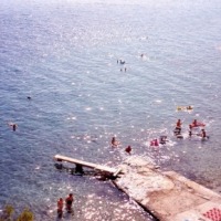 Foto de Omis