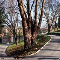 Foto de Oviedo
