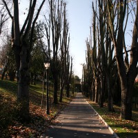 Foto de Oviedo