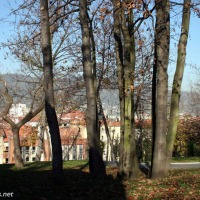 Foto de Oviedo