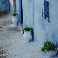 Foto de Rabat