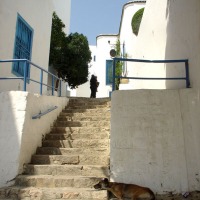 Foto de Sidi Bou Said