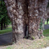 Foto de Oviedo