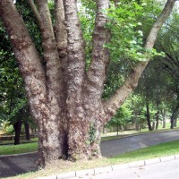 Foto de Oviedo