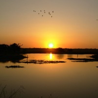Foto de Cojedes