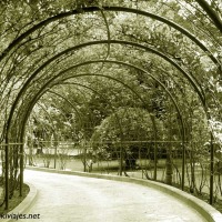 Foto de Oviedo