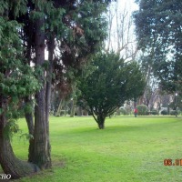 Foto de Oviedo