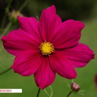Foto de Peñafiel