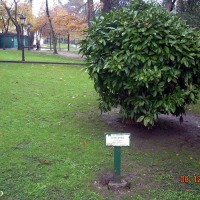 Foto de Oviedo
