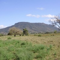 Foto de Guanacaste