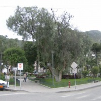 Foto de Puellaro