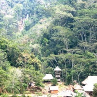 Foto de Chanchamayo