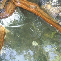 Foto de La Mesa de Veraguas